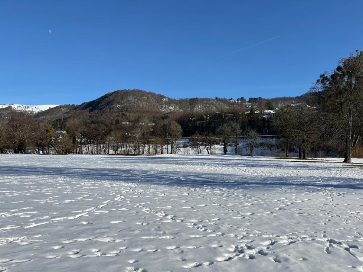 Belle Maison De Ville Au Coeur Du Village De Montagne Vic-sur-Cère Dış mekan fotoğraf