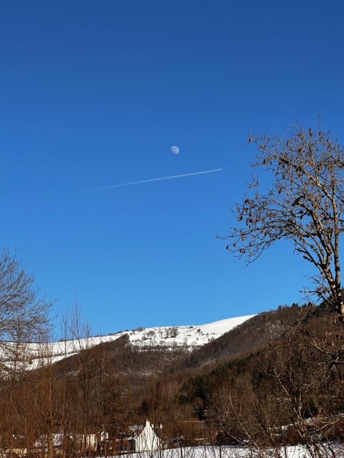 Belle Maison De Ville Au Coeur Du Village De Montagne Vic-sur-Cère Dış mekan fotoğraf